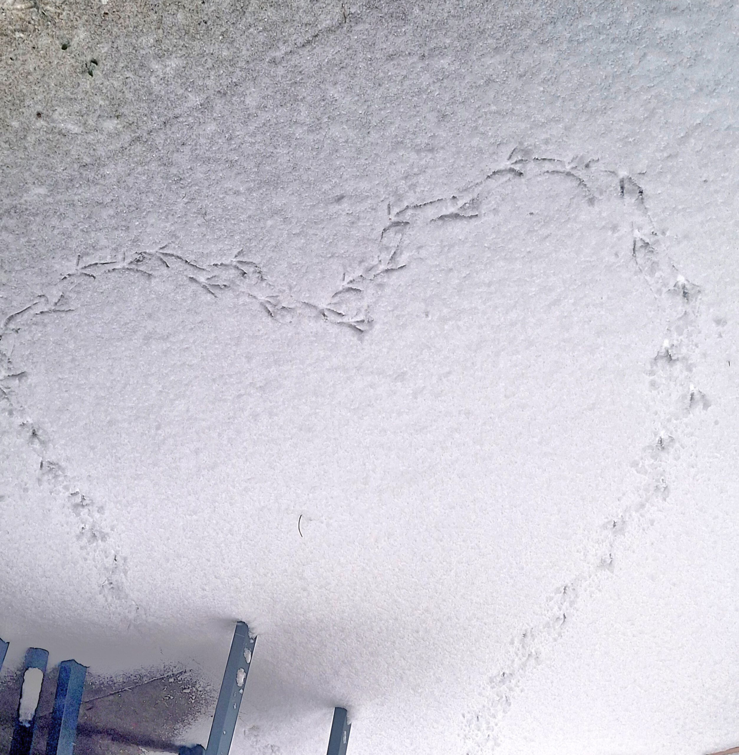 Coaching Esther Ammon